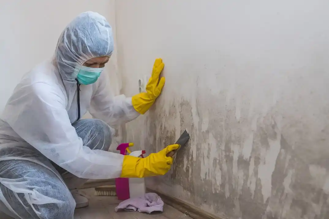 water damage restoration service Trexler Park